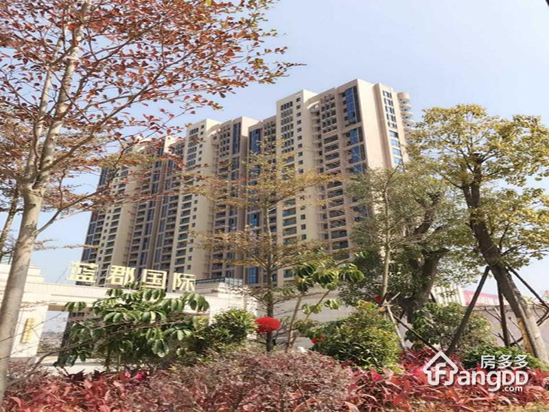 蓝郡国际最新售楼消息揭秘，城市理想居所的优选🏠🌆