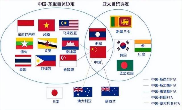 2024澳门最准三中三,实用性解读策略_DIM57.668专业版