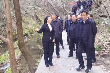 商南金丝峡镇最新动态揭秘，温馨日常的点滴细节