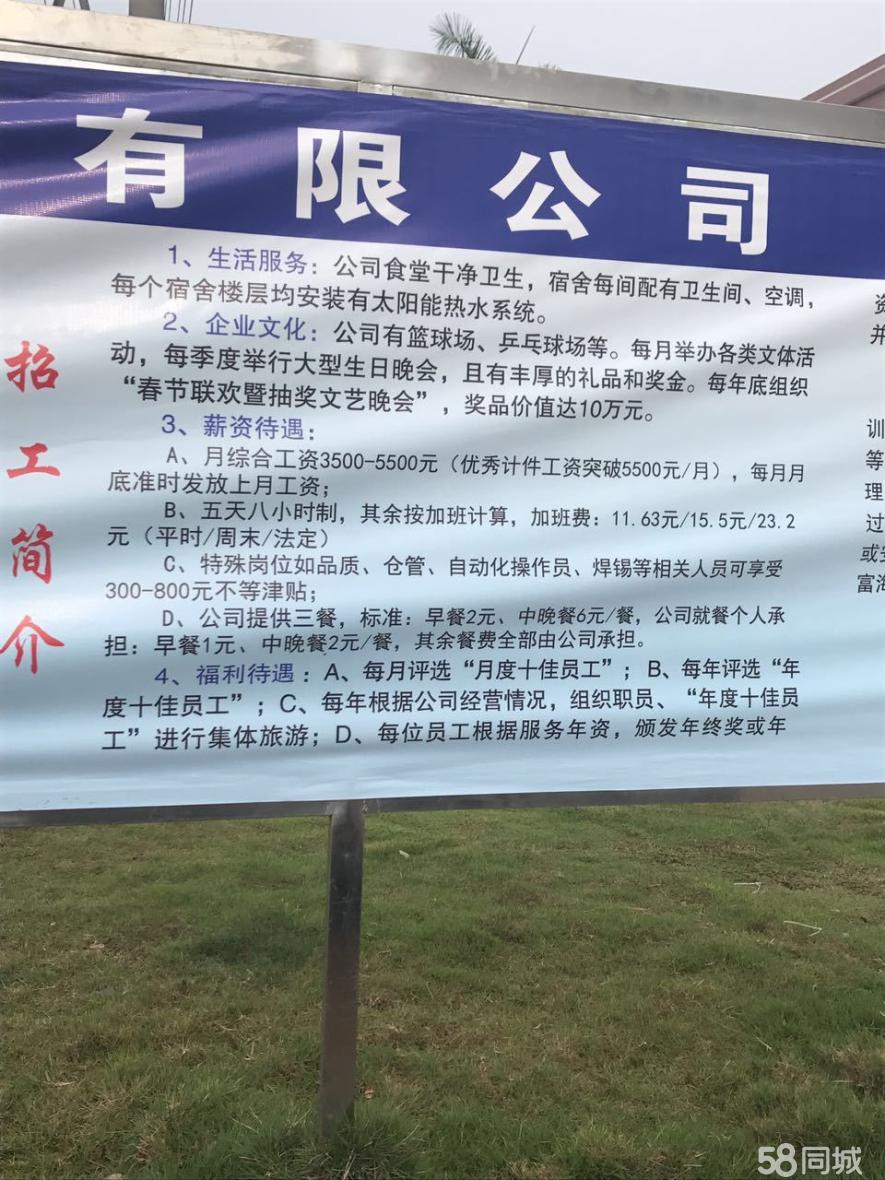 长垣白班最新招聘信息汇总