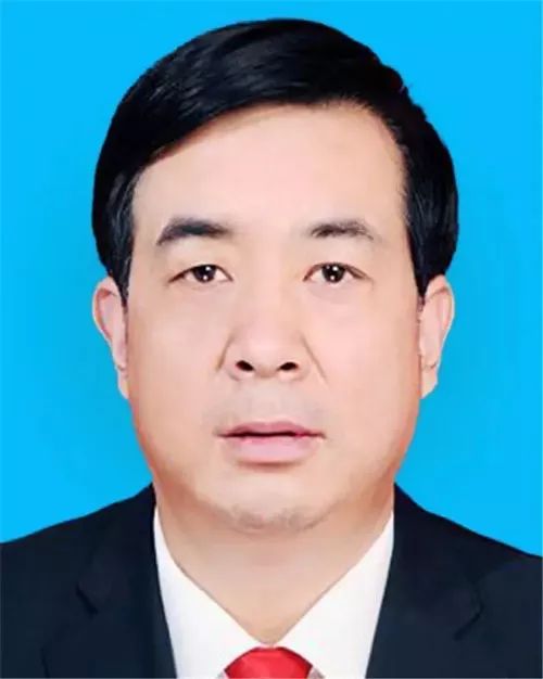 杨志武最新任命，友情、日常与家的温馨新篇章开启