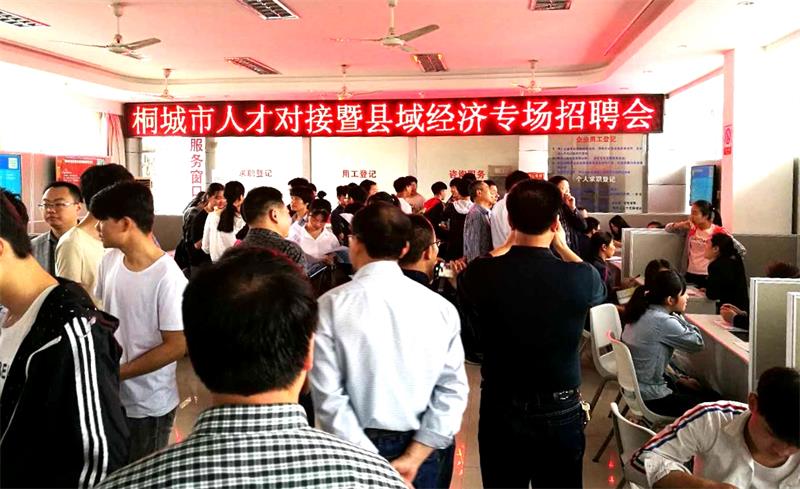 桐城网最新招聘信息，学习变化，把握机遇，共创无限未来！