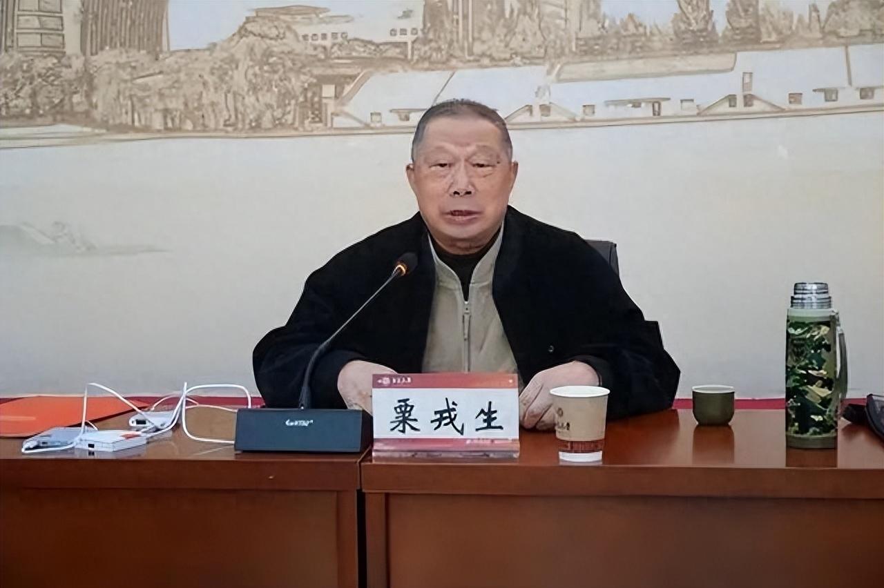 戎生灵最新动态与相关观点探讨