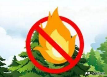 陕西最新新闻动态，小巷深处的独特风味