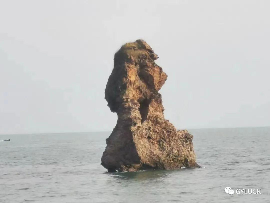 珠海旭日海岸最新楼价探析与概述