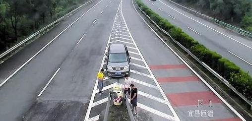 高速路边小便现象，公众秩序与个人需求的挑战