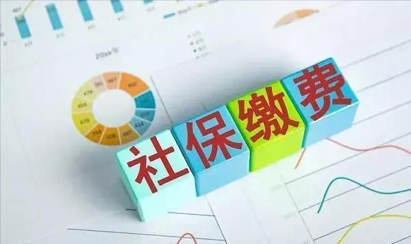 重磅解读，2024最新教师法解读🌟