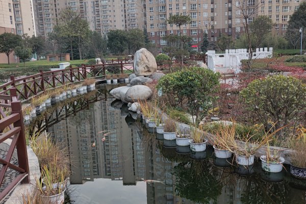 咸阳马泉花苑最新动态，自然美景探索之旅启程