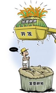 耕地占补平衡最新政策解读，背景、影响与时代地位分析