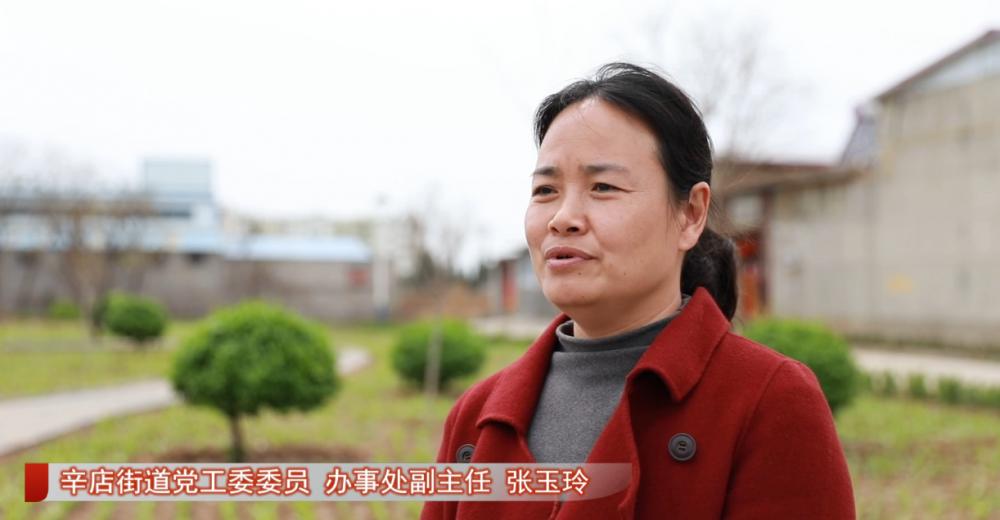 临淄辛店最新招聘信息汇总
