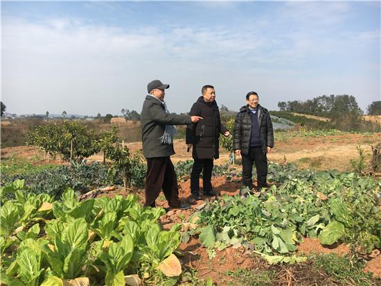 仁寿县里仁乡最新规划，自然美景探索之旅启动