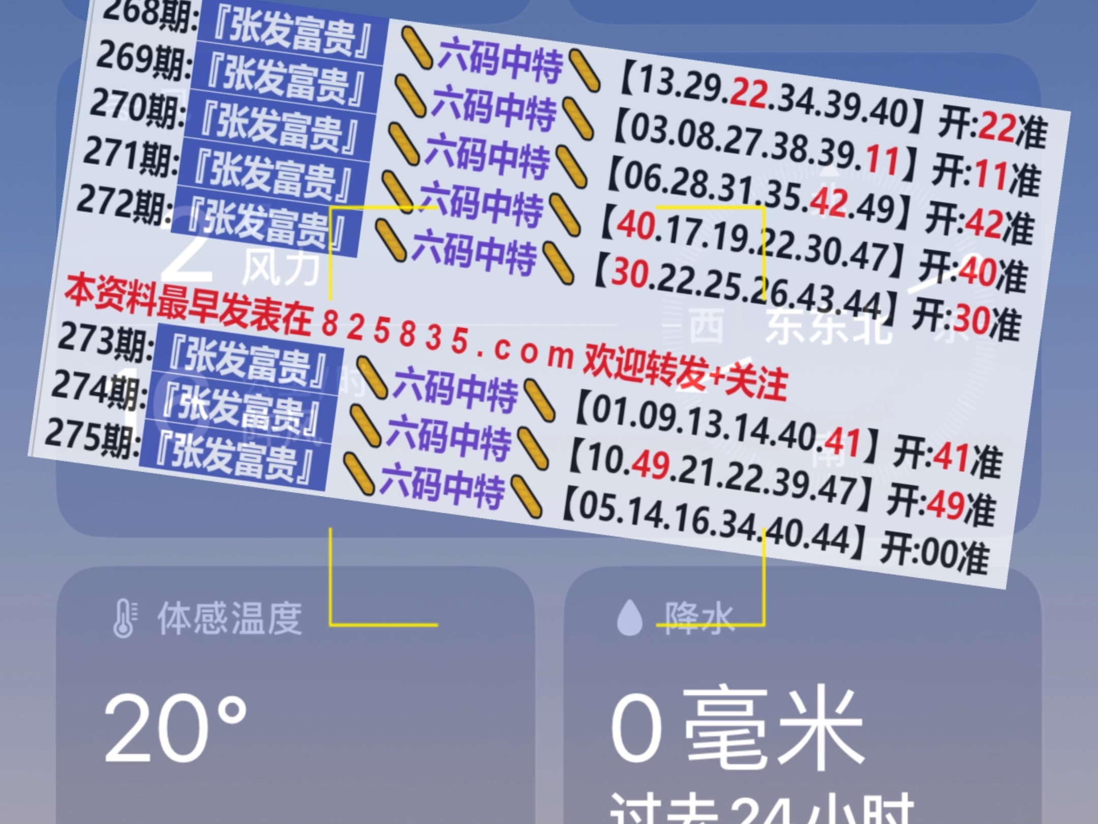 2024年新奥门天天开彩,统计数据详解说明_确认版5.579