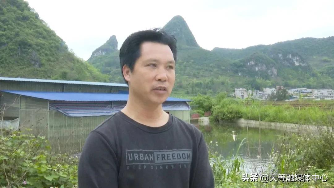 天等向都镇最新动态，小巷深处的独特风味