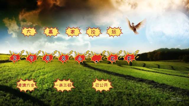 4949澳门特马今晚开奖,数据指导策略规划_天然版35.389