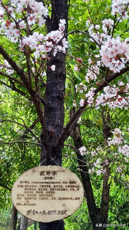 昆明大德寺最新消息,昆明大德寺最新消息
