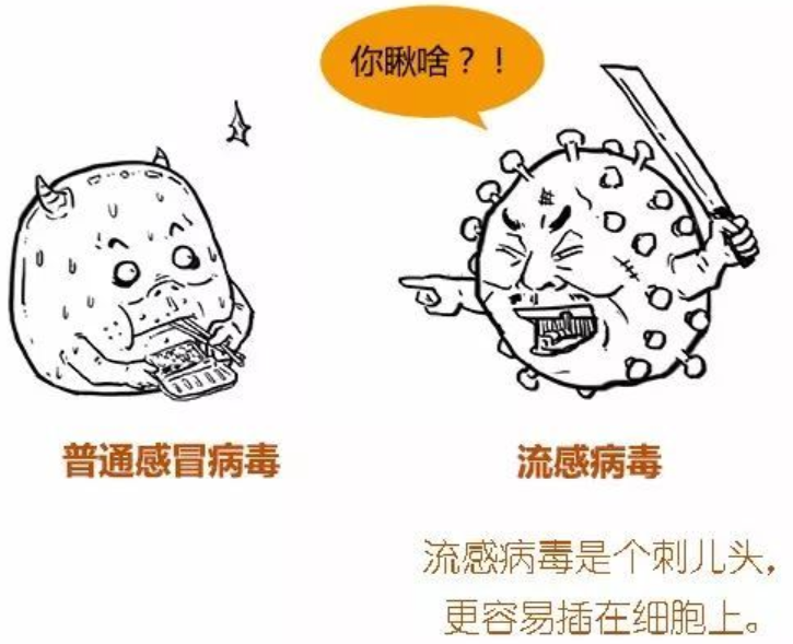 最新甲状流感，自然美景中的健康探索之旅