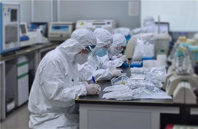 最新日本病毒概述及关键要点解析