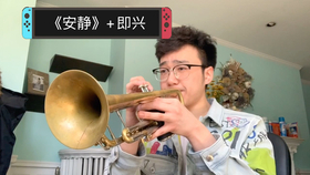 琴最新动态，小巷深处的音乐探索之旅