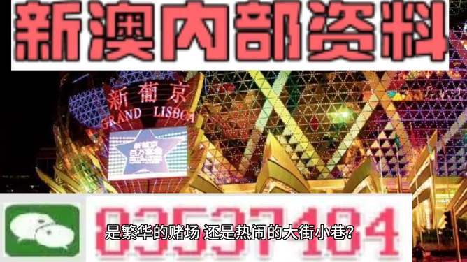 新澳门精准资料大全管家婆料,实时更新解释介绍_优先版34.146