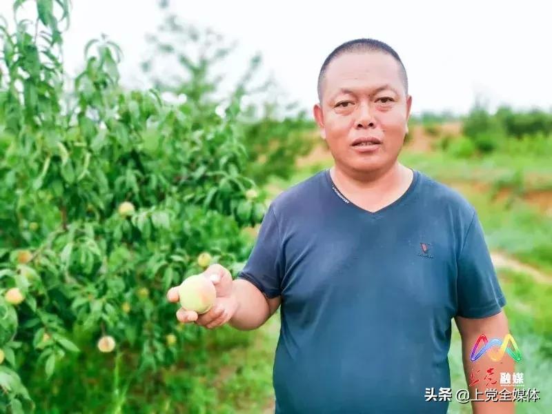 蜜之社最新探索，寻找内心平静的旅行之旅