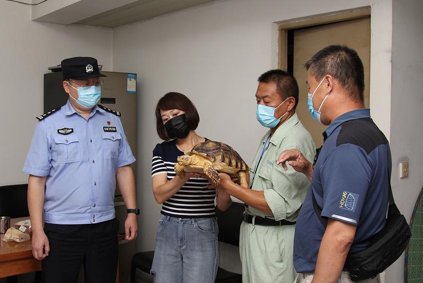 国家最新龟类，励志之旅中的自信与成就感之路