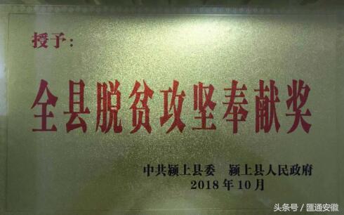 锦门学府最新资讯，开启智慧之门，助力自信未来教育之路