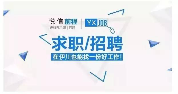 伊川最新职位招聘，小巷中的职场宝藏探索，未知机遇等你来遇！