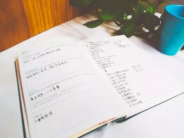 公务员日记新篇章开启，公职人员的日常与生活