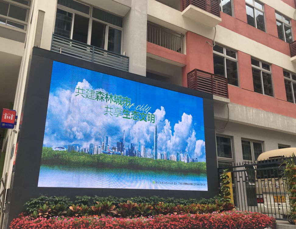最新森林城市动态，与自然美景的邂逅，探寻内心的平和宁静之旅