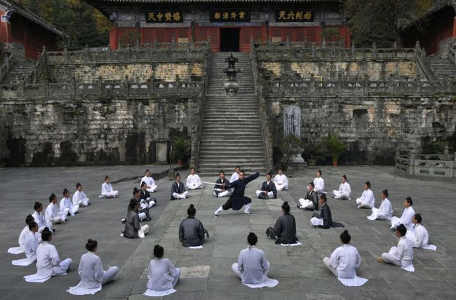 丹道大师最新动态，共舞大自然的奇妙旅程