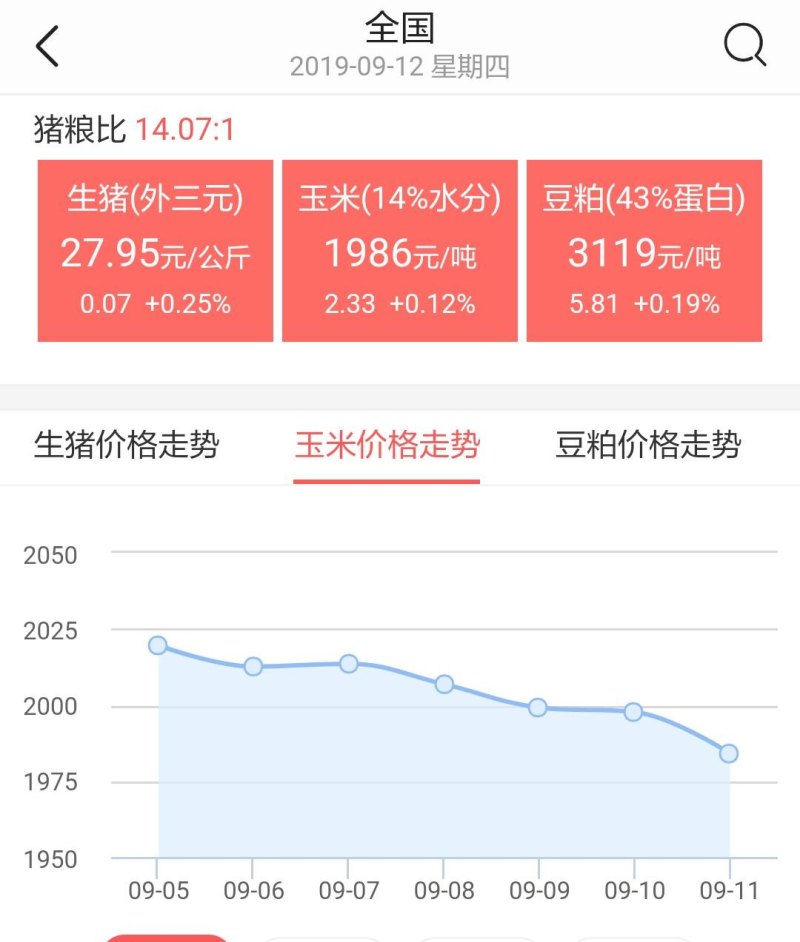 邯郸玉米最新报价揭秘，情感纽带与今日市场行情的交织
