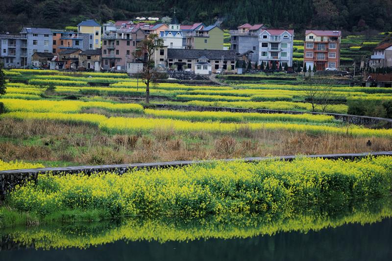 村色新篇，探索乡村新风貌