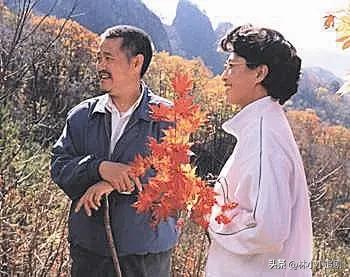 电视剧刘老根，传统乡村变革的镜像与深度解读