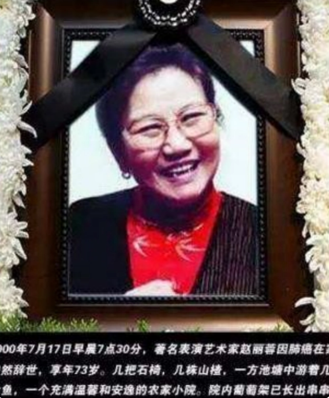 纪念逝去的明星，永恒的辉煌与高科技产品的魅力