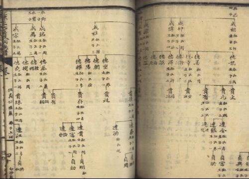 褚氏族谱，自然美景的探索之旅