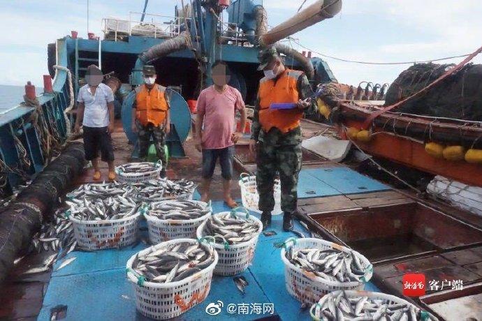 琼海跨海大桥最新进展，桥上的奇遇与家的温馨连接