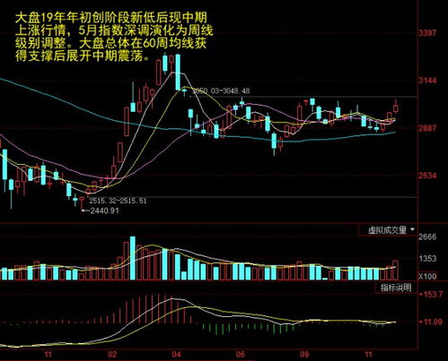 掌握变化，300536股票行情深度解析，股市中的自信舞者之路