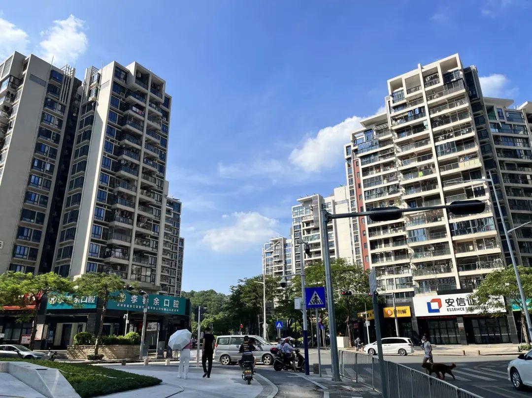 深圳热点新闻，自然之旅的心灵觉醒之旅