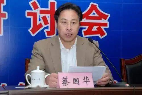 蔡国华最新动态，日常趣事与友情纽带揭秘