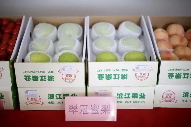甜瓜游乐场最新版，小巷探秘的甜蜜之旅