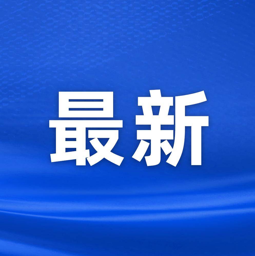 小巷深处的独特风味，一家隐藏的特色小店探秘揭秘之旅