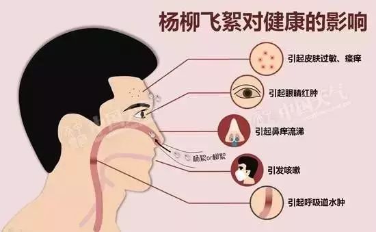 丹东最新肝炎信息分享与更新📢